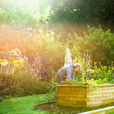 Jardinière bois - Longue et haute / 1,875 x 1,125 x 0,65 m