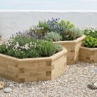 Jardinière bois octogonale - Multiniveaux / 327,2 x 224,8 x 55 cm 