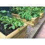Jardinière bois / Créez votre propre forme et taille