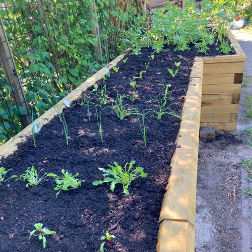 Le potager en L de Jeroen