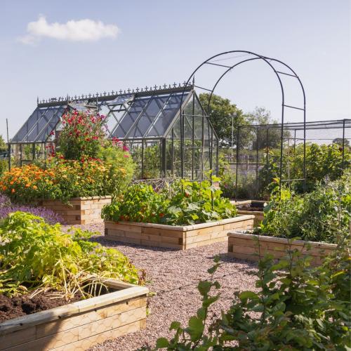 Le potager de Steve