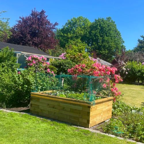 Le potager surélevé de Bernhard