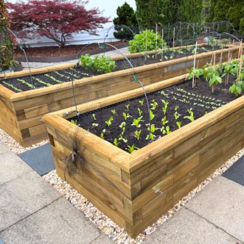 Le potager surélevé d’Antonio et de Lorena