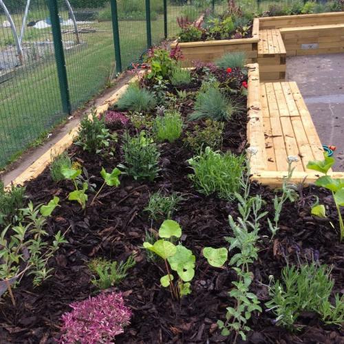 Les jardinières surélevées de Woodlands Academy