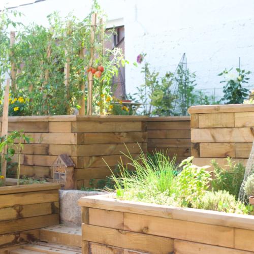 Le jardin potager de Magali