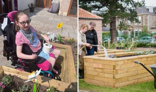 Créer des jardinières surélevées accessibles aux fauteuils roulants