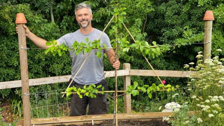 Plantations dans des jardinières surélevées
