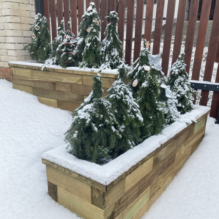 Votre jardin au mois de janvier : quelques tâches essentielles