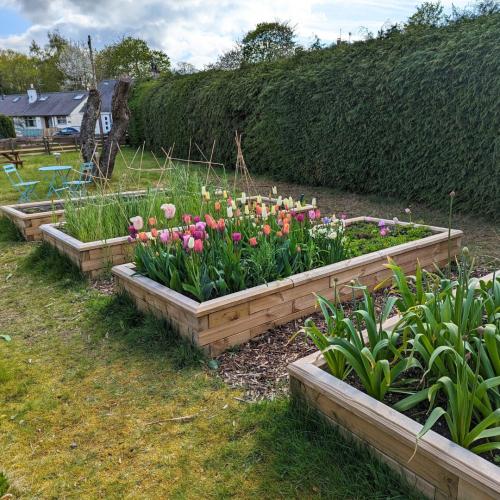 Les jardinières surélevées en bois de Dan