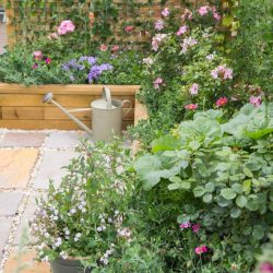 WoodBlocX-RAISED-BED-91-1024x683