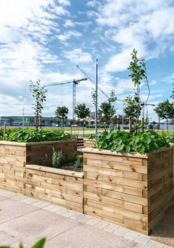 Dundee-Waterfront-WoodBlocX-6