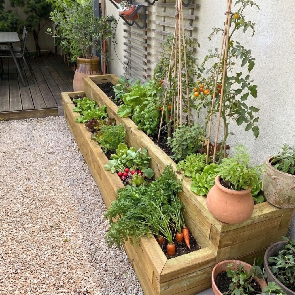 Le potager surélevé à plusieurs niveaux de Ludovic