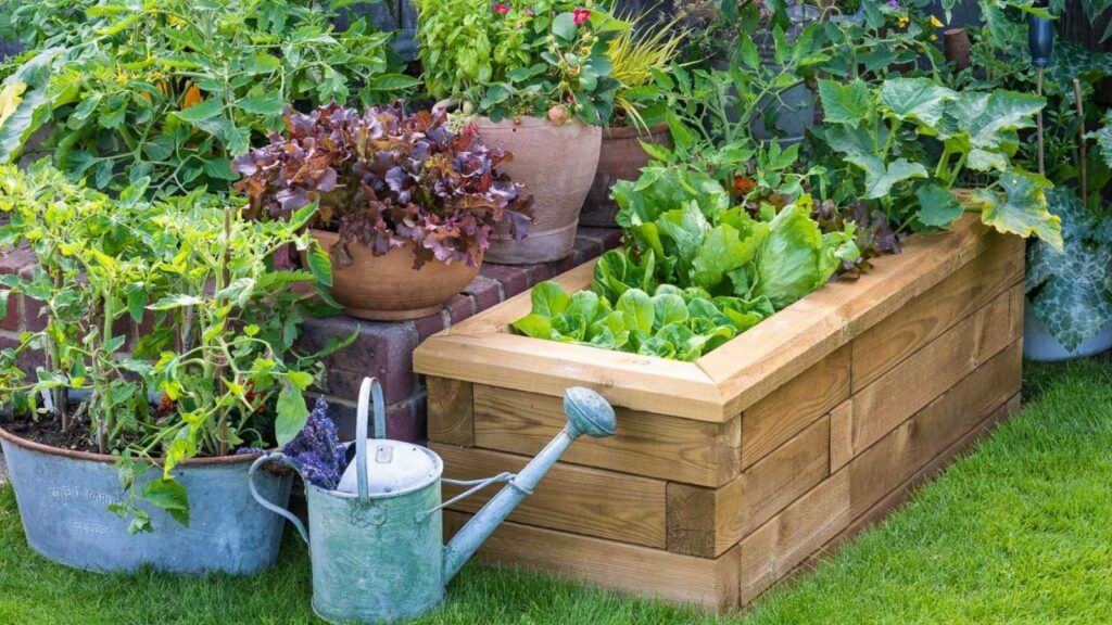 20 idées de jardinières extérieures avec WoodBlocX